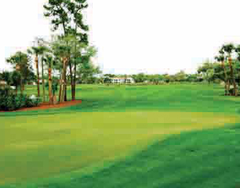 Champion Hole No 12