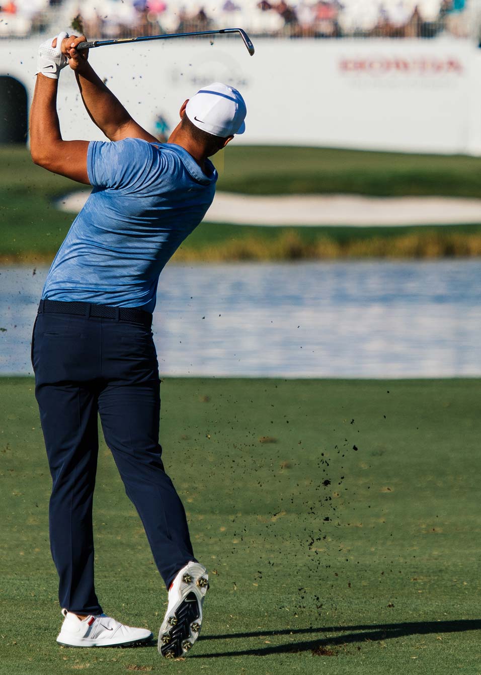 background decorative image