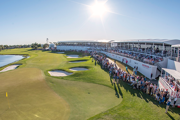 background decorative image