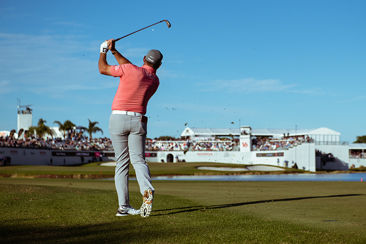 background decorative image